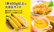 【2026年先行予約】とうもろこし&nbsp;恵味&nbsp;ゴールド&nbsp;400g以上×12本&nbsp;計4.8kg以上&nbsp;高糖度&nbsp;トウモロコシ&nbsp;スイートコーン&nbsp;玉蜀黍&nbsp;イエローコーン&nbsp;黄&nbsp;夏野菜&nbsp;甘い&nbsp;ジューシー&nbsp;野菜&nbsp;おやつ&nbsp;旬&nbsp;産地直送&nbsp;送料無料&nbsp;湖南野菜出荷組合&nbsp;山梨県&nbsp;富士河口湖町