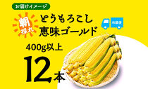 【2026年先行予約】とうもろこし&nbsp;恵味&nbsp;ゴールド&nbsp;400g以上×12本&nbsp;計4.8kg以上&nbsp;高糖度&nbsp;トウモロコシ&nbsp;スイートコーン&nbsp;玉蜀黍&nbsp;イエローコーン&nbsp;黄&nbsp;夏野菜&nbsp;甘い&nbsp;ジューシー&nbsp;野菜&nbsp;おやつ&nbsp;旬&nbsp;産地直送&nbsp;送料無料&nbsp;湖南野菜出荷組合&nbsp;山梨県&nbsp;富士河口湖町
