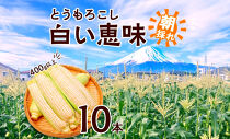 とうもろこし 白い恵味 ホワイト 400g以上×10本 計4kg以上 高糖度 トウモロコシ スイートコーン 玉蜀黍 白 夏野菜 ジューシー 野菜 おやつ 甘い 旬 産地直送 送料無料 湖南野菜出荷組合 山梨県 富士河口湖町