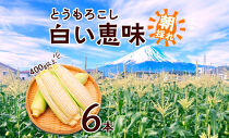 とうもろこし 白い恵味 ホワイト 400g以上×6本 計2.4kg以上 高糖度 トウモロコシ スイートコーン 玉蜀黍 白 夏野菜 ジューシー 野菜 おやつ 甘い 旬 産地直送 送料無料 湖南野菜出荷組合 山梨県 富士河口湖町