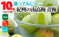 【2025年7月上旬～出荷予定】梅 冷凍 青梅 南高梅 10kg ( 1kg × 10袋) 秀品 2L or Lサイズ 和歌山県産 紀州有田 【みかんの会】
