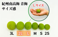 【2025年7月上旬～出荷予定】梅 冷凍 青梅 南高梅 10kg ( 1kg × 10袋) 秀品 2L or Lサイズ 和歌山県産 紀州有田 【みかんの会】