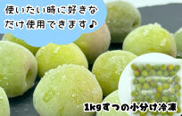 【2025年7月上旬～出荷予定】梅 冷凍 青梅 南高梅 10kg ( 1kg × 10袋) 秀品 2L or Lサイズ 和歌山県産 紀州有田 【みかんの会】