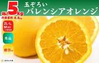 バレンシアオレンジ 国産 玉ぞろい 秀品 箱込 5kg (内容量 4.4kg ) 2L L M サイズのいずれか 和歌山県産 産地直送【みかんの会】