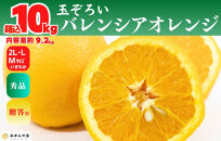 バレンシアオレンジ 国産 玉ぞろい 秀品 箱込 10kg (内容量 9.2kg ) 2L L M サイズのいずれか 和歌山県産 産地直送【みかんの会】
