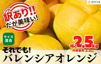 訳あり バレンシアオレンジ  国産 箱込 2.5kg (内容量 2.3kg ) サイズミックス 和歌山県産 産地直送 みかんの会