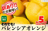 訳あり バレンシアオレンジ  国産 箱込 5kg (内容量 4.4kg ) サイズミックス 和歌山県産 産地直送 みかんの会