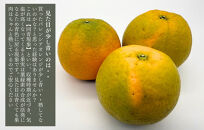 訳あり バレンシアオレンジ  国産 箱込 5kg (内容量 4.4kg ) サイズミックス 和歌山県産 産地直送 みかんの会