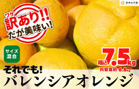 訳あり バレンシアオレンジ  国産 箱込 7.5kg (内容量 6.8kg ) サイズミックス 和歌山県産 産地直送 みかんの会