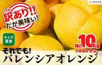 訳あり バレンシアオレンジ  国産 箱込 10kg (内容量 9.2kg ) サイズミックス 和歌山県産 産地直送 みかんの会