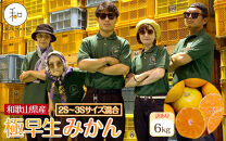 訳あり&nbsp;森本農園の手選別&nbsp;極早生小粒みかん&nbsp;約6kg&nbsp;和歌山県産&nbsp;2S・3Sサイズ混合&nbsp;［北海道・沖縄・離島配送不可］［2025年10月上旬から順次発送］［RN56］