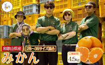 家庭用&nbsp;森本農園の手選別&nbsp;小粒みかん&nbsp;約4.5kg&nbsp;和歌山県産&nbsp;2S・3Sサイズ混合&nbsp;［北海道・沖縄・離島配送不可］［2025年11月上旬から順次発送］［RN60］