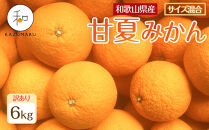 訳あり&nbsp;森本農園の手選別&nbsp;甘夏みかん&nbsp;約6kg&nbsp;和歌山県産&nbsp;サイズ混合&nbsp;［北海道・沖縄・離島配送不可］［2026年4月上旬から順次発送］［RN74］