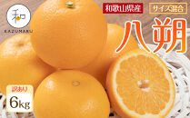 訳あり&nbsp;森本農園の手選別&nbsp;八朔&nbsp;約6kg&nbsp;和歌山県産&nbsp;サイズ混合&nbsp;［北海道・沖縄・離島配送不可］［2026年1月中旬から2月中旬頃順次発送予定］［RN119］