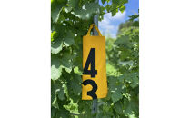 美浦村産のブドウを使用したワインと競走馬調教用ゼッケンのワインバッグ