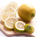 レモン2.5kg+250g（傷み補償分）【和歌山有田産】【防腐剤・WAX不使用、安心の国産レモン】［IKE127］