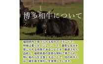 【博多和牛１００％使用】お肉屋さんの手ごねジューシー生ハンバーグ180ｇ×15個