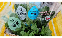 小松菜、水菜、ほうれんそう、春菊 各6束