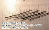 広島かき味のり 5本詰合せ もみじ 8切36枚