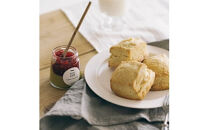 you-ichi 定番のTOY JAM 2個セット B