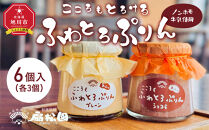 ノンホモ牛乳使用！「こころもふわとろぷりん」6個 （プレーン・ショコラ各3個）【 生乳 乳 スイーツ デザート おやつ お菓子 カップ プレゼント ギフト 旭川市 】_05060