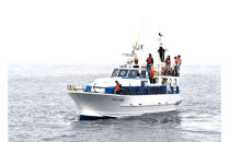 羅臼沖ホエールウォッチングクルーズ