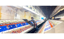 【横浜柄】横浜捺染で染色した手ぬぐい【赤×青】