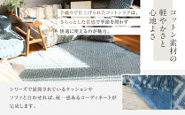 【a.depeche】BMS ラグ ノス ブルー 1400(ラグ,おしゃれラグ,デザインラグ)［ 京都 インテリア ブランド パリ アパルトマン ライフスタイル 人気 おすすめ 絨毯 カーペット 敷物 マット おしゃれ 家具 雑貨 通販 送料無料 ふるさと納税 ］