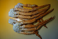 冷凍ボイルイバラガニ足&nbsp;2kg入