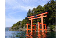 箱根&nbsp;芦ノ湖！箱根神社水上鳥居と九頭龍神社本宮参拝モーターボートクルージング（40分コース）