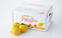 【レモン島から贈る】安心の国産レモン8kg 2026年1月15日より順次発送【瀬戸田 瀬戸田レモン 産地直送 フルーツ 檸檬 ノーワックス 防腐剤 防かび剤不使用】