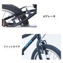 サカイサイクル&nbsp;キッズバイク&nbsp;MAXI18BMX　18インチ　フラットブラック