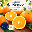 ネーブルオレンジ&nbsp;約5kg&nbsp;サイズおまかせ&nbsp;アルギット&nbsp;栽培&nbsp;国産&nbsp;甘い&nbsp;おいしい&nbsp;ジューシー&nbsp;皮&nbsp;薄い&nbsp;完熟&nbsp;期間限定&nbsp;フルーツ&nbsp;果物&nbsp;人気&nbsp;おすすめ&nbsp;高級&nbsp;こだわり&nbsp;ギフト&nbsp;旬&nbsp;山崎農園&nbsp;和歌山