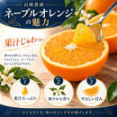 ネーブルオレンジ&nbsp;約10kg&nbsp;サイズおまかせ&nbsp;アルギット&nbsp;栽培&nbsp;国産&nbsp;甘い&nbsp;おいしい&nbsp;ジューシー&nbsp;皮&nbsp;薄い&nbsp;完熟&nbsp;期間限定&nbsp;フルーツ&nbsp;果物&nbsp;人気&nbsp;おすすめ&nbsp;高級&nbsp;こだわり&nbsp;ギフト&nbsp;旬&nbsp;山崎農園&nbsp;和歌山
