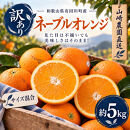 訳あり&nbsp;ネーブルオレンジ&nbsp;約5kg&nbsp;サイズおまかせ&nbsp;アルギット&nbsp;栽培&nbsp;国産&nbsp;甘い&nbsp;おいしい&nbsp;ジューシー&nbsp;皮&nbsp;薄い&nbsp;完熟&nbsp;期間限定&nbsp;フルーツ&nbsp;果物&nbsp;人気&nbsp;おすすめ&nbsp;高級&nbsp;こだわり&nbsp;ギフト&nbsp;旬&nbsp;山崎農園&nbsp;和歌山