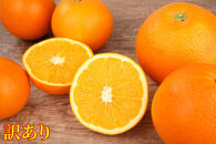 訳あり ネーブルオレンジ 約10kg サイズおまかせ アルギット 栽培 国産 甘い おいしい ジューシー 皮 薄い 完熟 期間限定 フルーツ 果物 人気 おすすめ 高級 こだわり ギフト 旬 山崎農園 和歌山