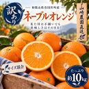 訳あり&nbsp;ネーブルオレンジ&nbsp;約10kg&nbsp;サイズおまかせ&nbsp;アルギット&nbsp;栽培&nbsp;国産&nbsp;甘い&nbsp;おいしい&nbsp;ジューシー&nbsp;皮&nbsp;薄い&nbsp;完熟&nbsp;期間限定&nbsp;フルーツ&nbsp;果物&nbsp;人気&nbsp;おすすめ&nbsp;高級&nbsp;こだわり&nbsp;ギフト&nbsp;旬&nbsp;山崎農園&nbsp;和歌山