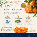 訳あり&nbsp;ネーブルオレンジ&nbsp;約10kg&nbsp;サイズおまかせ&nbsp;アルギット&nbsp;栽培&nbsp;国産&nbsp;甘い&nbsp;おいしい&nbsp;ジューシー&nbsp;皮&nbsp;薄い&nbsp;完熟&nbsp;期間限定&nbsp;フルーツ&nbsp;果物&nbsp;人気&nbsp;おすすめ&nbsp;高級&nbsp;こだわり&nbsp;ギフト&nbsp;旬&nbsp;山崎農園&nbsp;和歌山