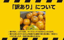【訳あり】有田みかん&nbsp;約3kg&nbsp;家庭用