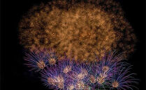 小田原酒匂川花火大会　協賛観覧席自由席（1名分）相席テーブル付&nbsp;【&nbsp;イベント&nbsp;体験チケット2025年8月2日&nbsp;開催&nbsp;観覧席&nbsp;６人掛けテーブル席&nbsp;相席&nbsp;神奈川県&nbsp;小田原市&nbsp;】