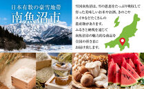 鶴齢 純米吟醸 720ml 12本 晩酌 酒 日本酒 常温 熱燗 こしいぶき 15.5％ アルコール お酒 低精米 新潟 贈答品 誕生日 お祝い 誕生日 プレゼント 特産品 ご当地 送料無料 新潟県 南魚沼市