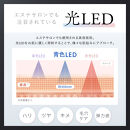 NIPLUX 鼻専用美顔器 QNose | 1年保証 取扱説明書付き 美容 家電 EMS 光LED 鼻美顔器 美容家電 ノーズクリップ 鼻クリップ 鼻筋 美容機器 家電 家電製品 日用品 福岡市 人気 おすすめ キュノーズ ニップラックス NP-QN25BK