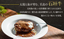 ～お試し～&nbsp;石垣牛ハンバーグ【KINJO&nbsp;BEEF】手ごねハンバーグステーキ（200g×1P）&nbsp;|&nbsp;ハンバーグ&nbsp;はんばーぐ&nbsp;石垣牛&nbsp;牛肉&nbsp;牛&nbsp;沖縄&nbsp;北谷&nbsp;石垣島&nbsp;ちゃたん&nbsp;おかず&nbsp;惣菜&nbsp;冷凍