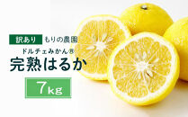 【訳あり】完熟はるか&nbsp;7kg&nbsp;ドルチェみかん&nbsp;2026年2月中旬より発送予定