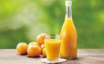 もりの農園のドルチェみかんで作った”自慢の”みかんジュース&nbsp;1本×2箱【無添加&nbsp;100％&nbsp;ストレート】2025年12月中旬〜発送予定