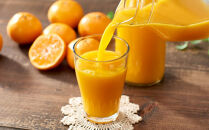 もりの農園のドルチェみかんで作った”自慢の”みかんジュース 6本【無添加 100％ ストレート】2025年12月中旬〜発送予定