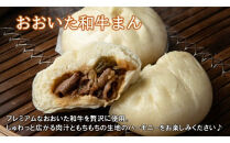 職人手作りの「おおいた和牛まん&特製豚まん&ミニ豚まん&nbsp;贅沢食べ比べセット」_2564R
