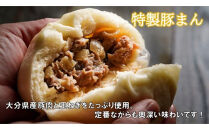 職人手作りの「おおいた和牛まん&特製豚まん&ミニ豚まん&nbsp;贅沢食べ比べセット」_2564R