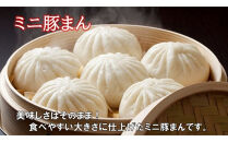 職人手作りの「おおいた和牛まん&特製豚まん&ミニ豚まん&nbsp;贅沢食べ比べセット」_2564R