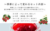 【MAISON&nbsp;DE&nbsp;FROUGE】季節の自家製いちごジャム&nbsp;2種・各100g｜人気いちごスイーツ&nbsp;[&nbsp;苺スイーツ専門店&nbsp;苺と砂糖のみで作られたジャム&nbsp;果肉ごろごろ&nbsp;あまおう&nbsp;さちのか&nbsp;紅ほっぺ&nbsp;おいCベリー&nbsp;おすすめ&nbsp;手作りジャム&nbsp;ギフト&nbsp;プレゼント&nbsp;お取り寄せ&nbsp;通販&nbsp;送料無料&nbsp;ふるさと納税&nbsp;]